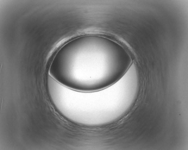 X0000080191461200612081147