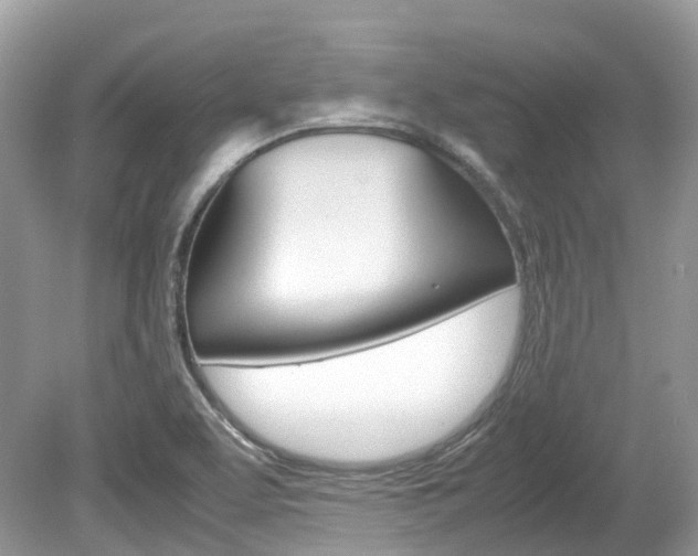 X0000080191463200612081147