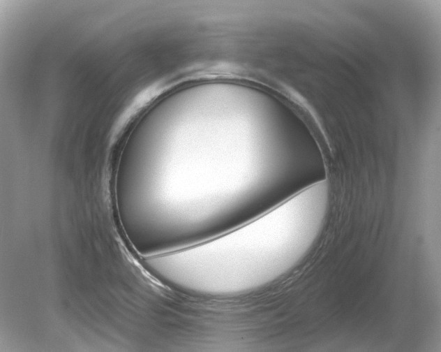 X0000080191464200612081147