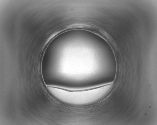 X0000080191465200612081147