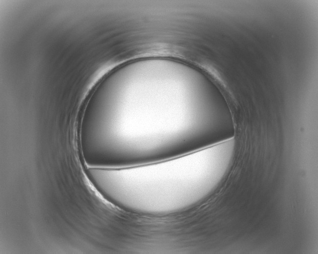 X0000080191468200612081147