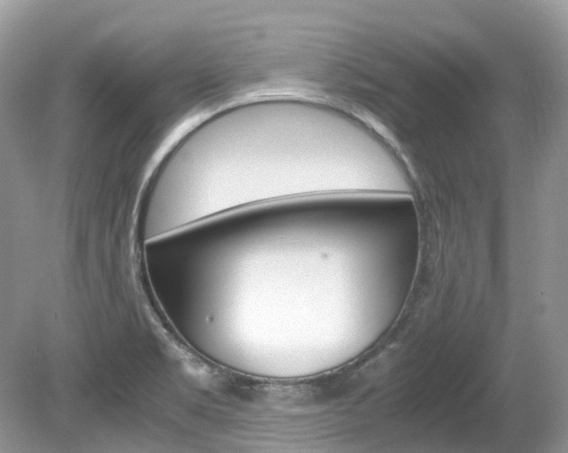 X0000080191469200612081147