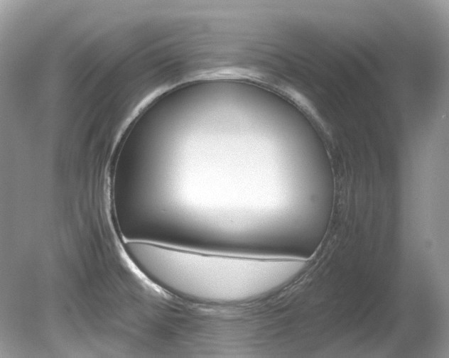X0000080191476200612081147
