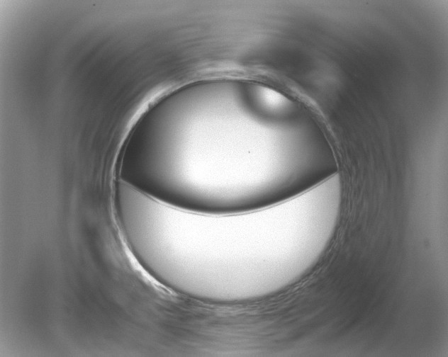 X0000080191479200612081147