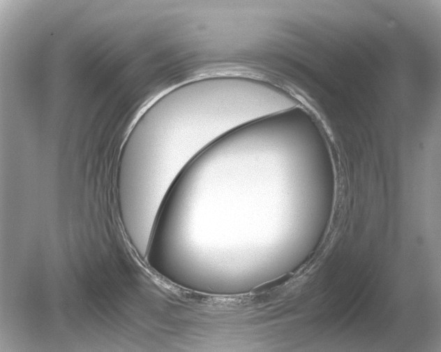 X0000080191481200612081147