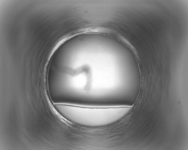 X0000080191483200612081147
