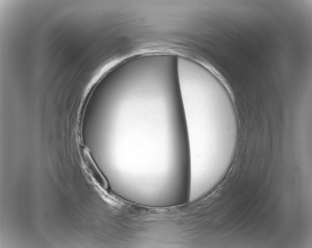 X0000080191485200612081147
