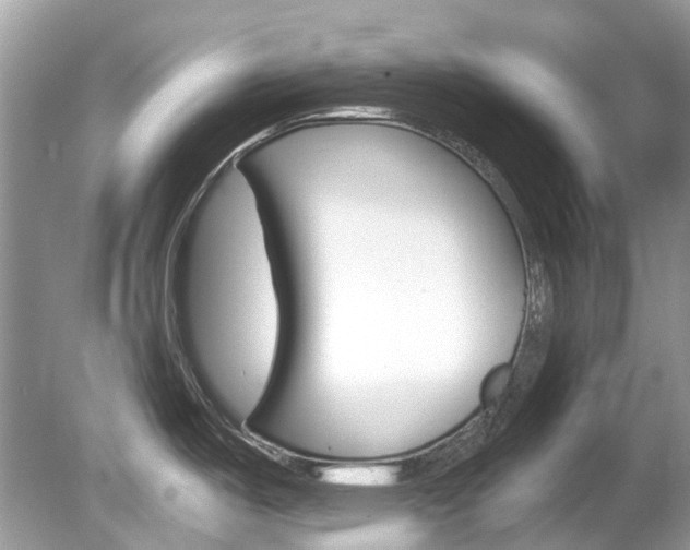 X0000080191487200612081147