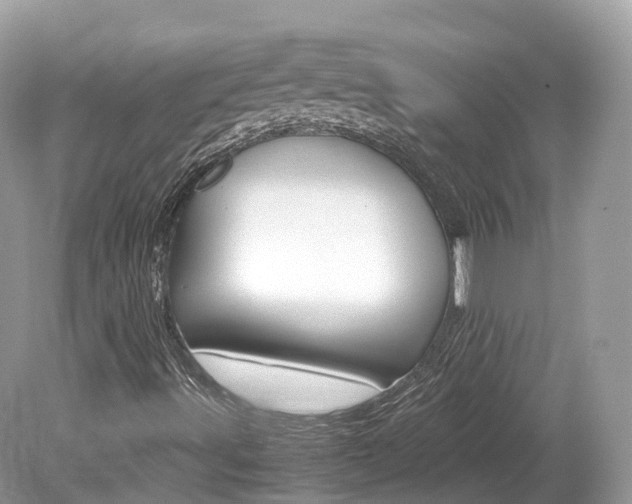 X0000080191491200612081146