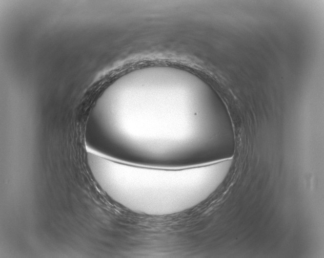 X0000080191494200612081146