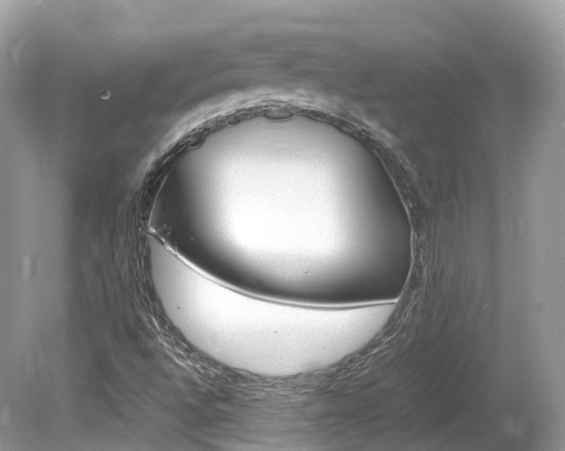X0000080191496200612081146