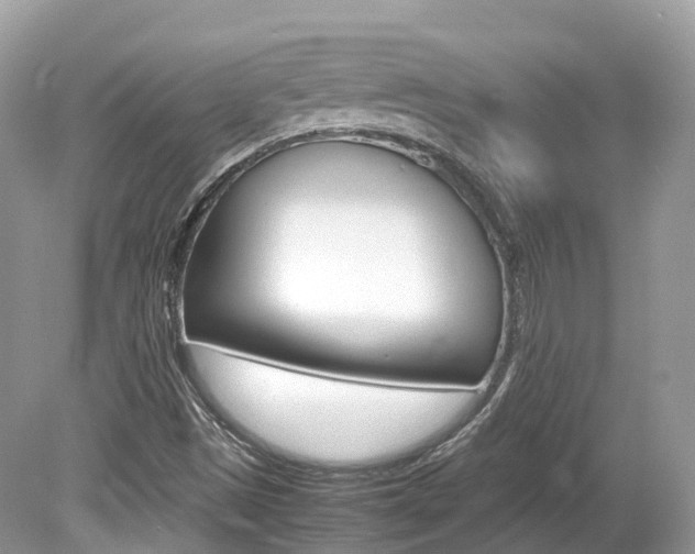 X0000080191497200612081146