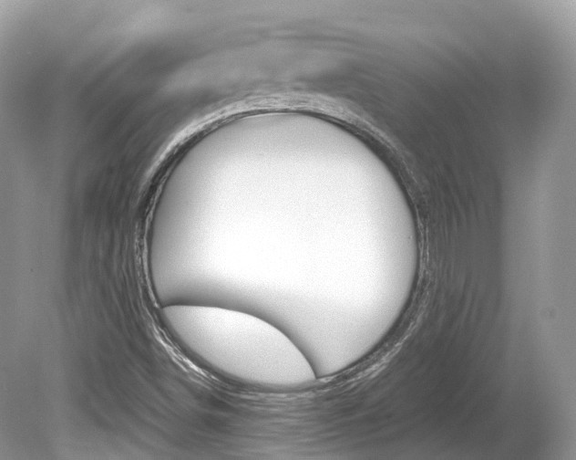 X0000080191498200612081146