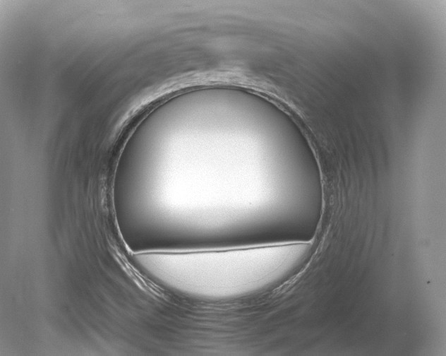 X0000080191499200612081146