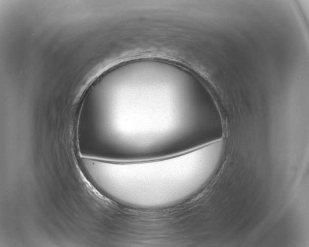 X0000080191500200612081146