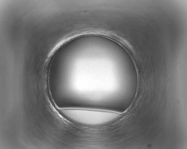 X0000080191504200612081146