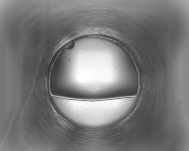 X0000080191505200612081146