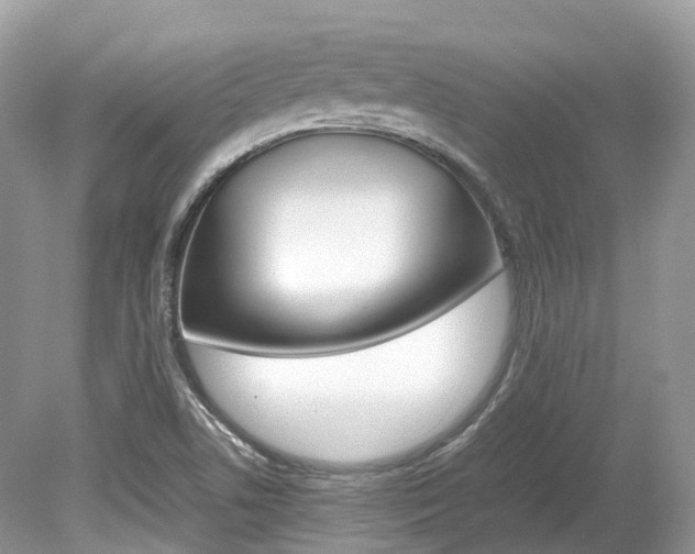 X0000080191506200612081146