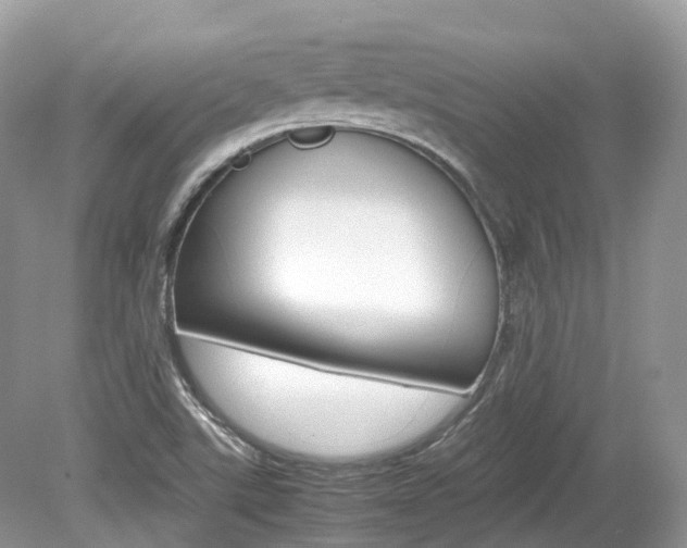 X0000080191507200612081146