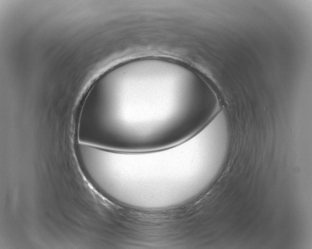 X0000080191508200612081146