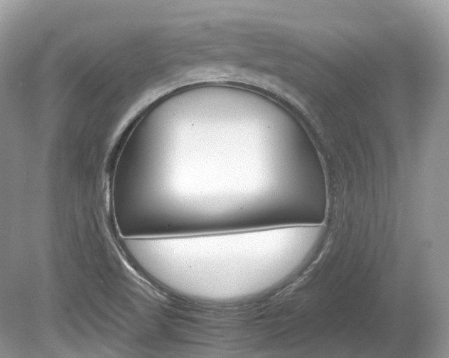 X0000080191509200612081146