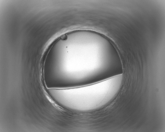 X0000080191511200612081146