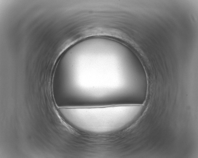 X0000080191513200612081146