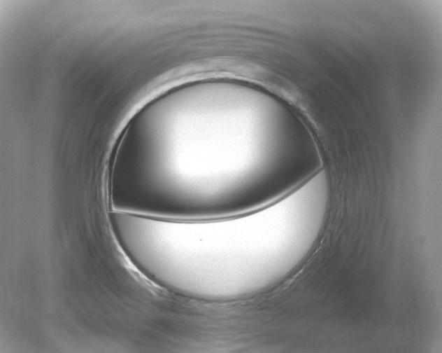 X0000080191516200612081146