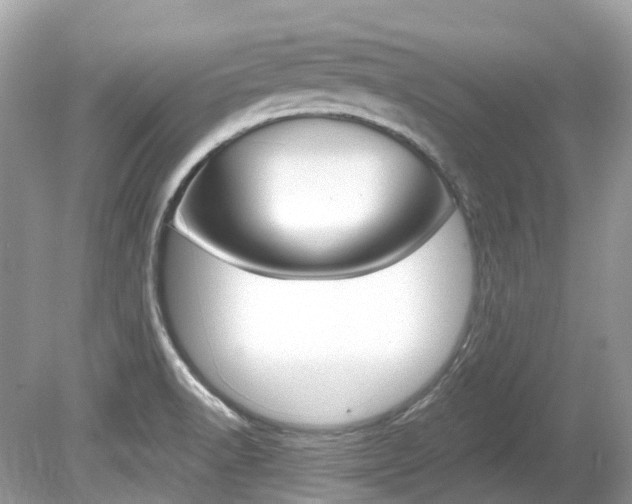 X0000080191518200612081146