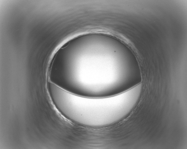 X0000080191520200612081146