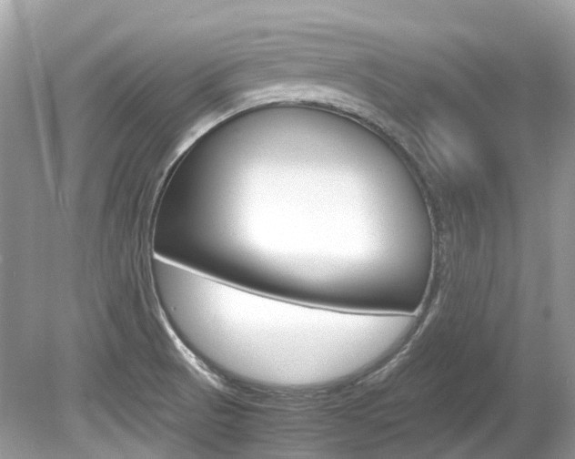 X0000080191521200612081146