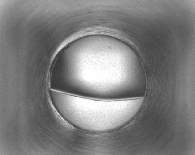 X0000080191522200612081146