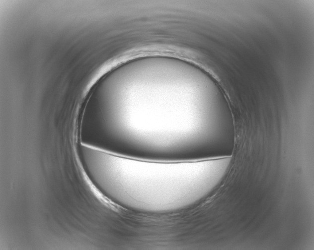 X0000080191523200612081146