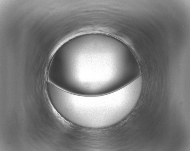 X0000080191524200612081147
