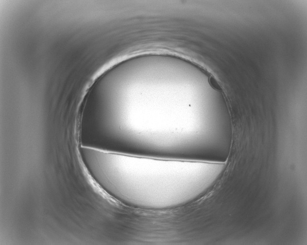 X0000080191526200612081147