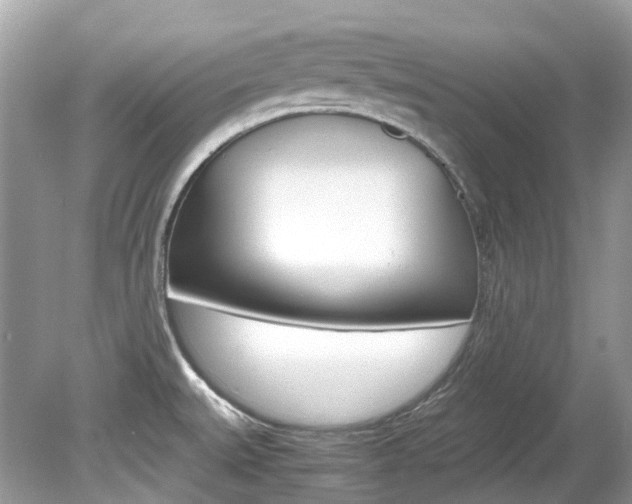 X0000080191527200612081147