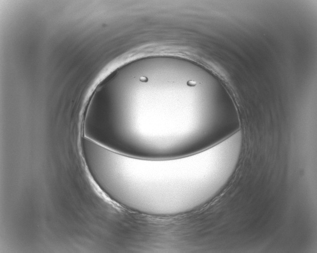 X0000080191528200612081147