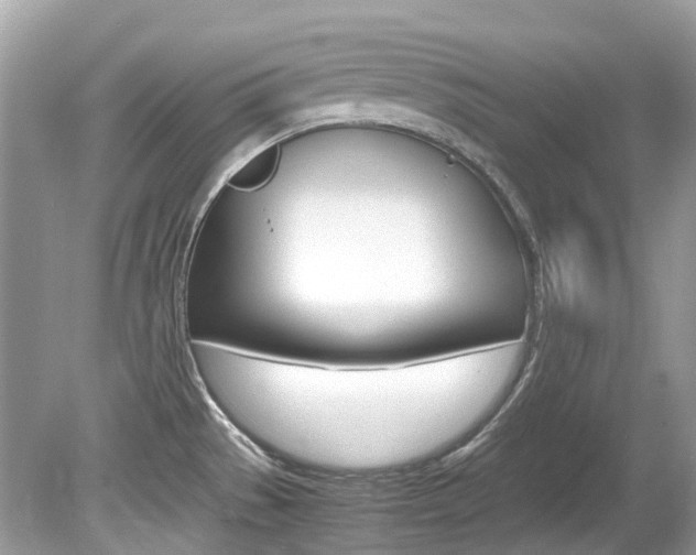 X0000080191529200612081147