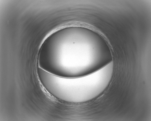 X0000080191530200612081147