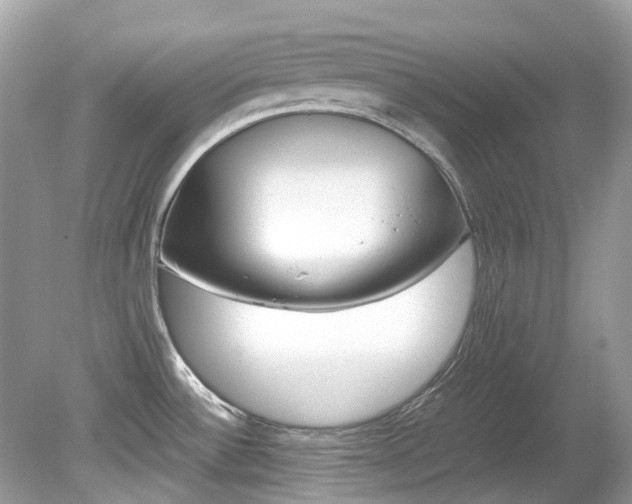 X0000080191532200612081147