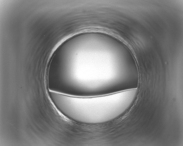 X0000080191533200612081147