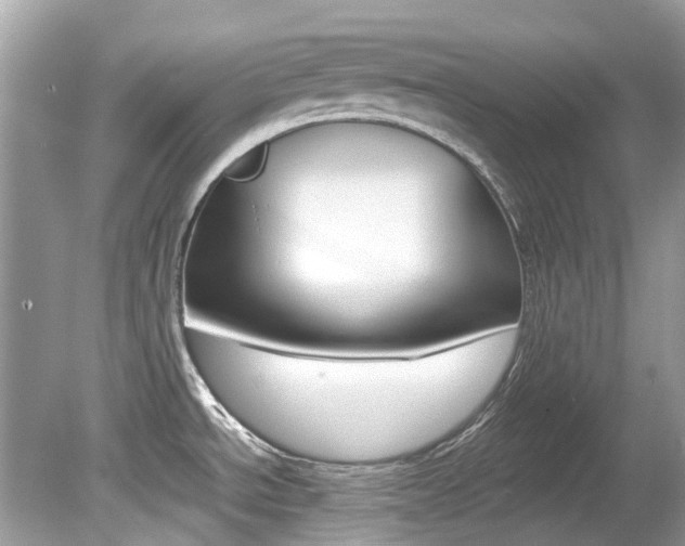X0000080191534200612081147