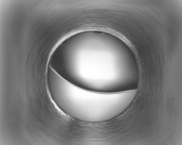 X0000080191536200612081147