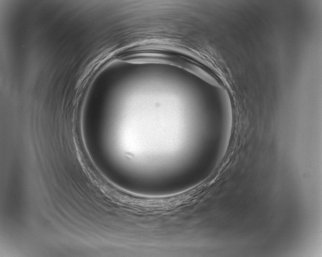 X0000080190001200612081439