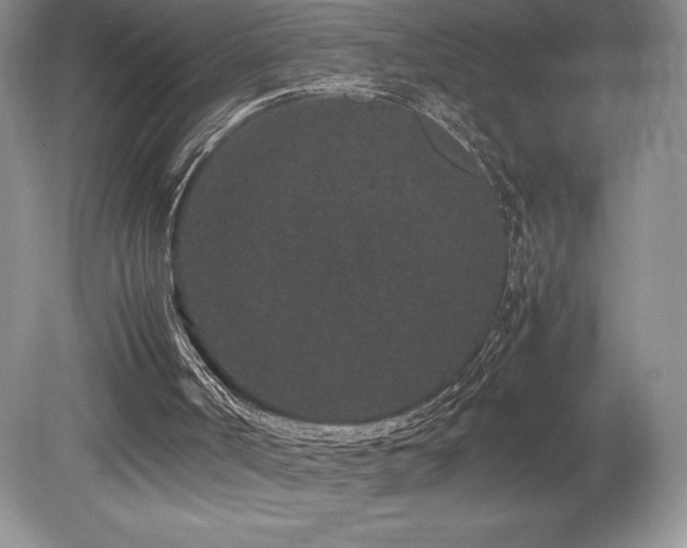 X0000080190002200612081439