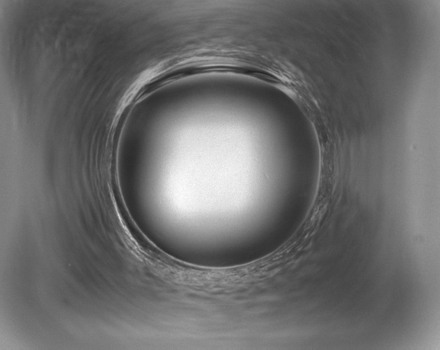 X0000080190003200612081439