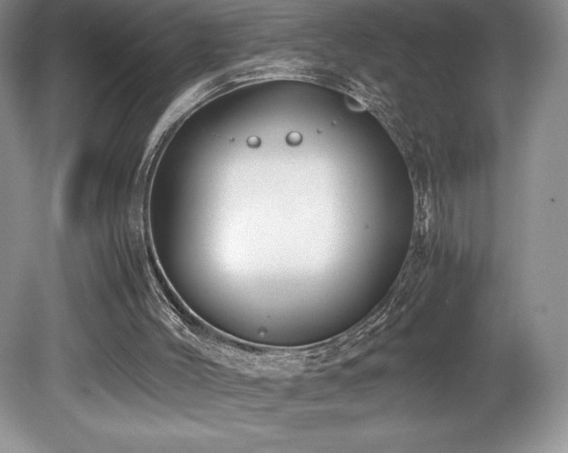 X0000080190004200612081439