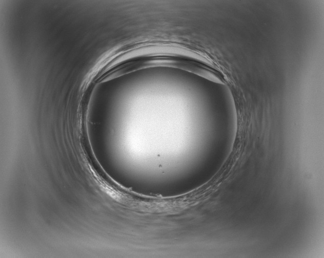 X0000080190005200612081439