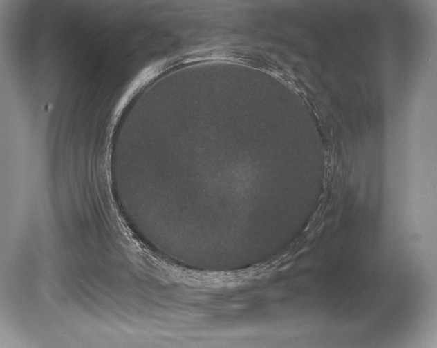X0000080190006200612081439