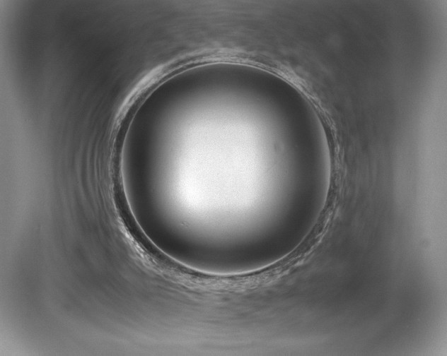 X0000080190007200612081439